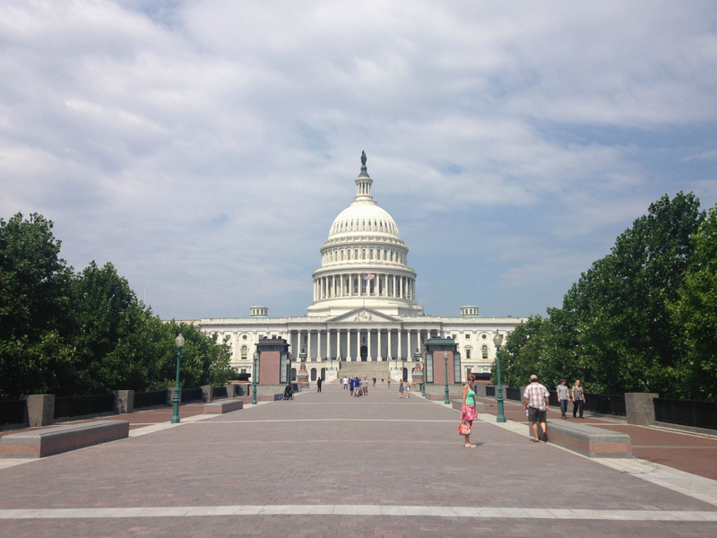 Illustration for article titled My trip to DC pt. 2 (slightly smaller photodump, planelopnik)